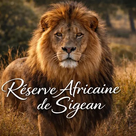 A 5mn De La Reserve Africaine, Charmante Maison De Village Avec Patio *