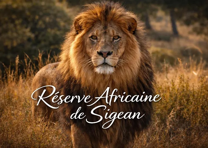 A 5mn De La Reserve Africaine, Charmante Maison De Village Avec Patio *